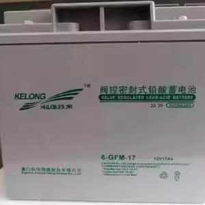 KELONG科华技术UPS铅酸蓄电池6GFM12V24AH/38AH/65AH/100AH/200AH