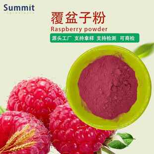 源头工厂现货食品级覆盆子粉可拿样可商检水溶性覆盆子提取物