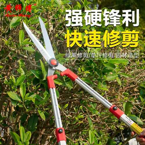 黄师傅草坪剪直形伸缩篱笆剪锰钢绿篱剪花草修枝剪园艺园林工具