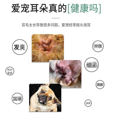 宠物狗毛粉宠物猫咪耳部耳部清洁