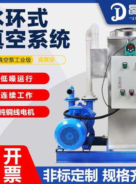 2BV水环式水循环真空泵工业用大型高真空抽气泵真空负压系统