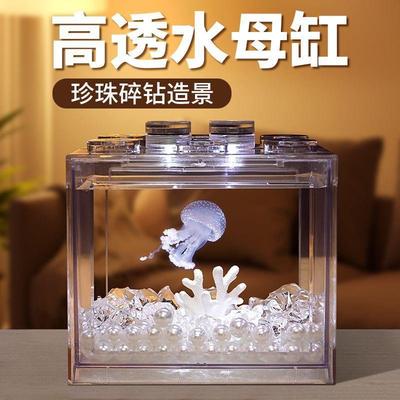 家养小水母活物家养活体学生儿童适合稀罕赤月懒人宠物动物发光缸