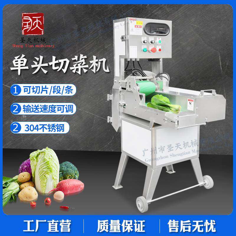 大型头单切菜机叶类切块切丝机芹切XAD丁菜切菜段机全自动不锈钢
