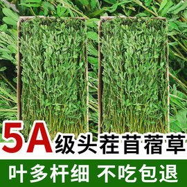 苜蓿草干草新草兔草饲料兔粮龙猫豚鼠宠物兔子牧草毛重2斤