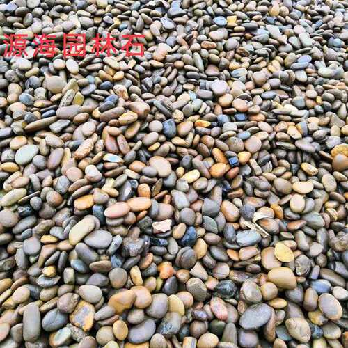 园林造景工程杂色鹅卵石 铺路抛光雨花石 鱼缸装饰多彩石头