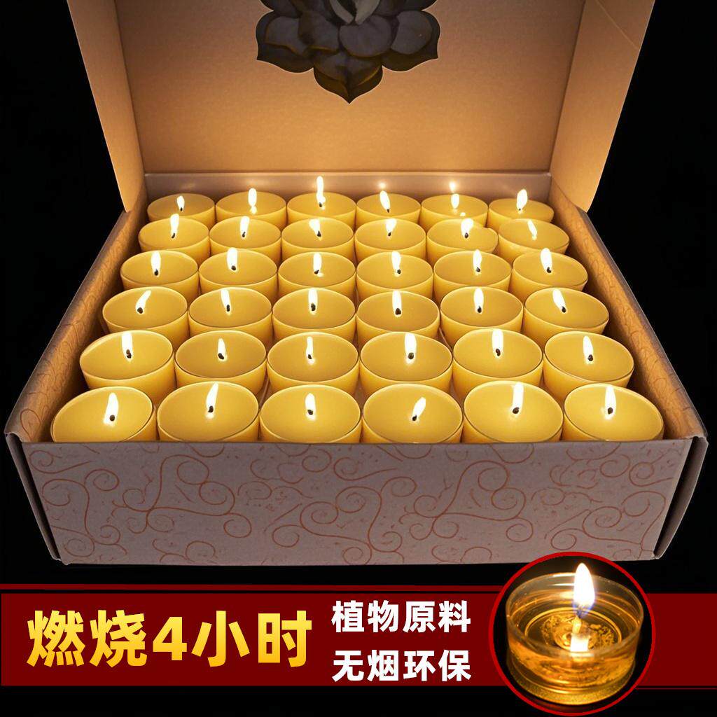 供佛灯4小时植物酥油灯100粒8小时苏油灯2小时蜡烛佛前供灯长明灯