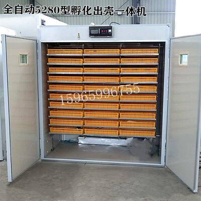 5280枚全自动小型孵化机鸡鸭孵化器家禽孵蛋器鸡蛋孵化箱鸡用