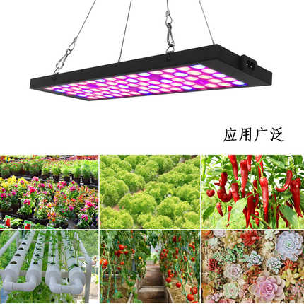 厂家批发UV IR LED面板植物灯2835红光蓝光蔬菜多肉种植生长