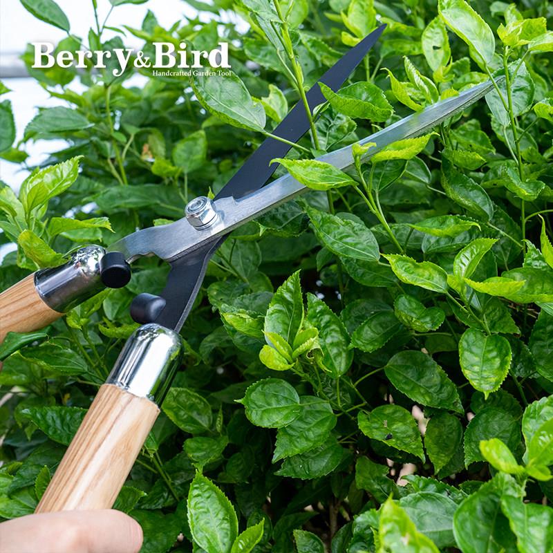 BerryBird园艺绿篱剪草坪修剪粗枝花艺果树大剪刀家用园林绿化带