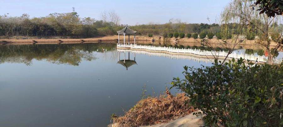 5月12日滁州市金水湾生态园土地使用权、房屋建筑物和苗木网络拍卖公告