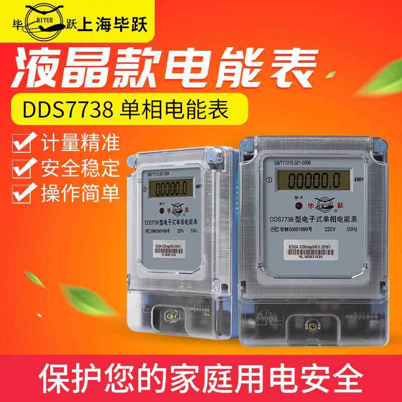 上海毕跃液晶电表 家用单相220v智能高精度出租房两相电子式火表
