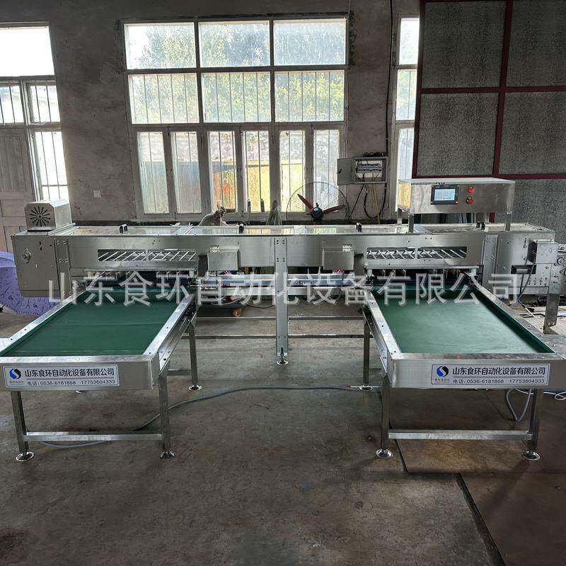 6排脏污蛋检测蛋裂纹蛋ai视觉检测产线鸡蛋鸭蛋电子重量分级