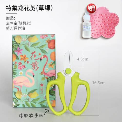 高档糖果色花艺花剪刀剪插花专用具工修剪花园艺剪刀家枝用宽头鲜