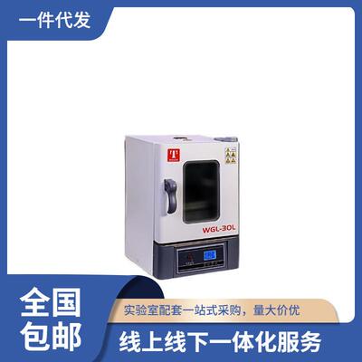 泰斯特实验室烘箱 WGL-L系列液晶屏显示鼓风干燥箱300℃