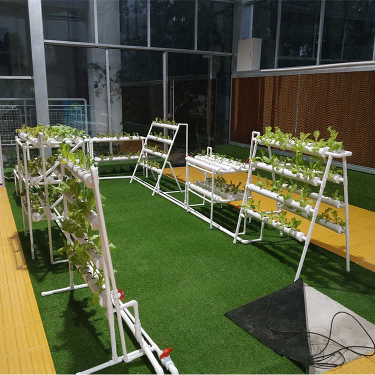 无土栽培水培水耕设备家庭智能种菜机温室大棚水床建设定制订做