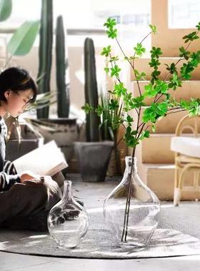 透明玻璃摆件大肚花瓶客厅落地圆肚小口径插花水养马醉木水培吊钟