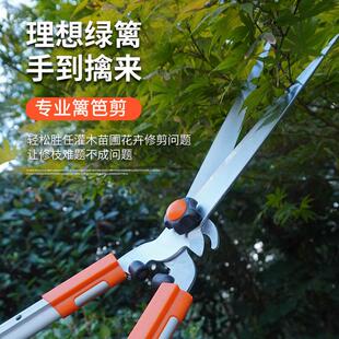 园艺大剪刀园林花剪修花修枝剪花木剪草修草坪绿篱剪强力修剪树枝
