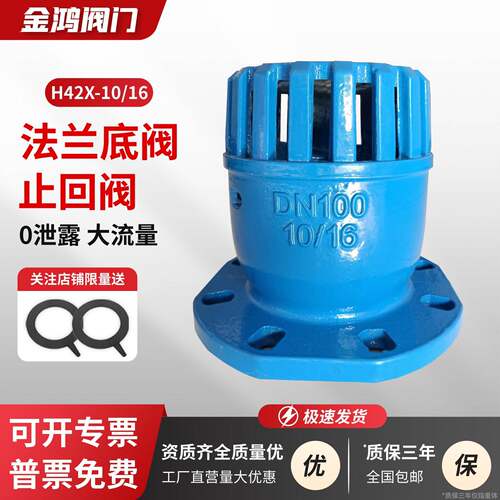 H42X-10/16法兰底阀铸铁水泵单向止回抽水泵吸水新型底阀门逆止阀