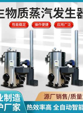源头厂家供应2吨生物质蒸汽发生器替代燃油气锅炉高温环保高效