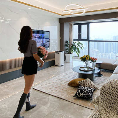 卧室茶几客厅双地毯奢地简约垫美式别墅沙发高端f羊毛手工轻现代