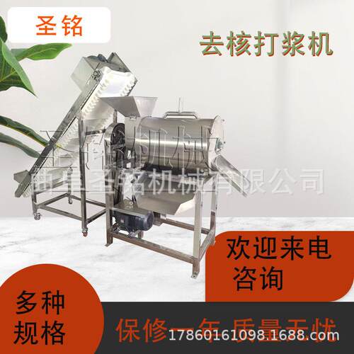 商用橙子去皮去核打浆机 工业樱桃去核打浆机 双道草莓去籽打浆机