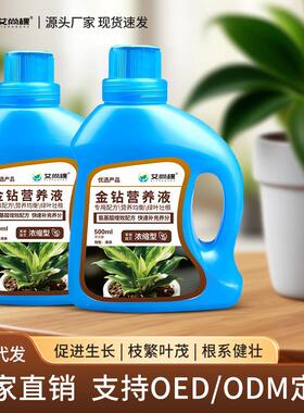 金钻绿植盆栽植物营养液水培植物花卉水培营养液园艺花肥