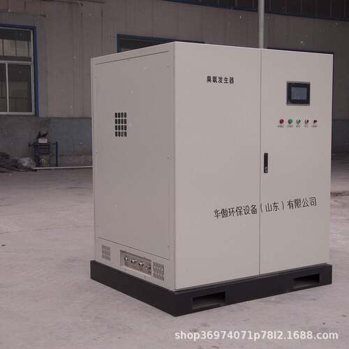 2000g空气源臭氧发生器大型氧气源臭氧发生器医药车间净化器厂家