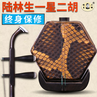 陸林生二胡一星阿諾古夷蘇木二胡學(xué)習(xí)考級(jí)演奏二胡 送配件
