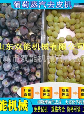 蒸汽去皮机 葡萄不伤果肉脱皮 果酒头原料全自动果蔬去皮设备