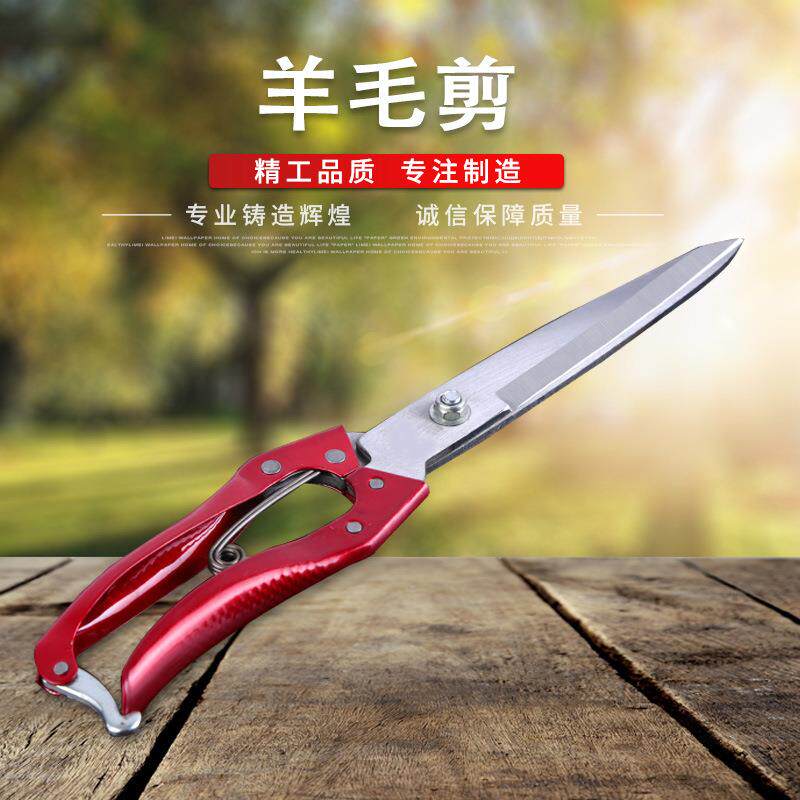 家用剪刀安全修毛长大剪子绞绵羊毛兔狗毛修剪手动绒花大号剪羊毛