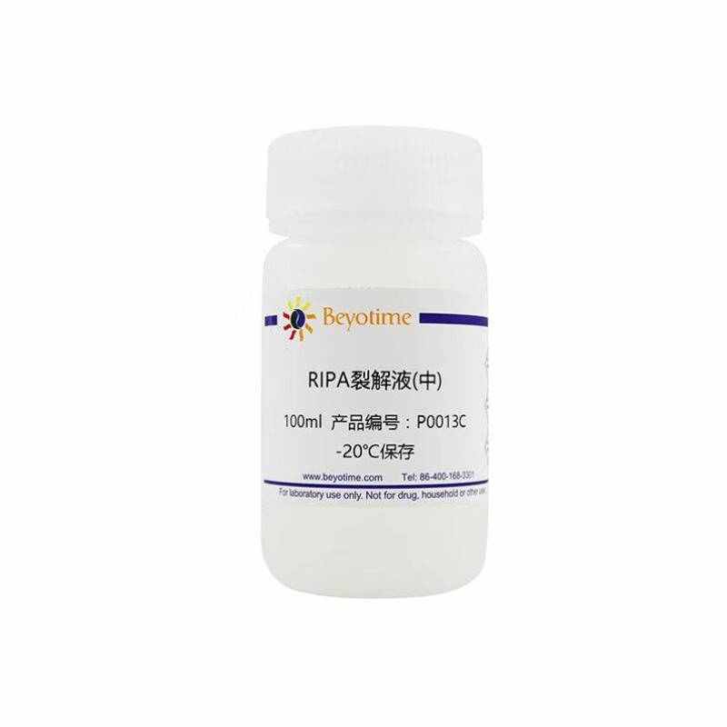 化科RIPA裂解液中RIPALysisBufferP0013C100ml