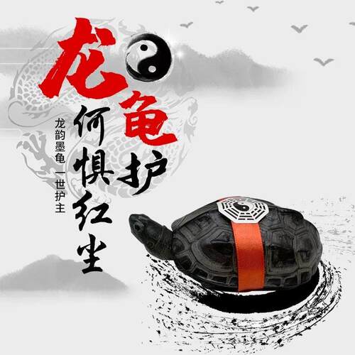 纯种全黑墨龟活物初半碳精品墨龟稀有宠物草龟檀香龟正宗顶墨乌龟