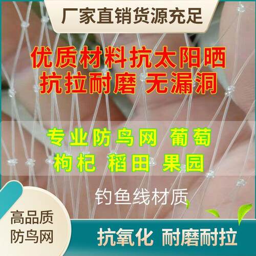 农用尼龙防鸟天网葡萄稻谷樱桃果树果园养殖鱼塘泥鳅防护隔离网