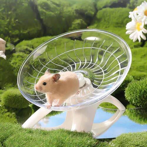 Hamster Running Wheel Silent Flying Disc Running Wheel Golde