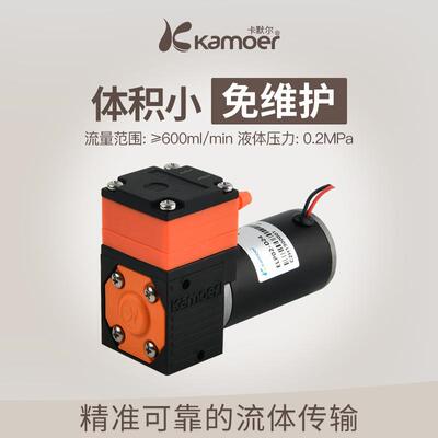 ELP02600ml/min微型隔膜泵24v12v自吸泵迷你抽水泵