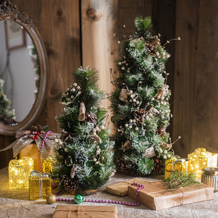 饰家用橱窗桌面INS 掬涵christmastree中小圣诞树冰晶雪松摆件装
