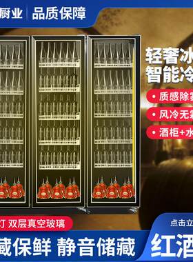 冷藏保鲜恒温红酒柜啤酒柜饮料柜酒水展示柜酒吧立式冰柜商用冷柜