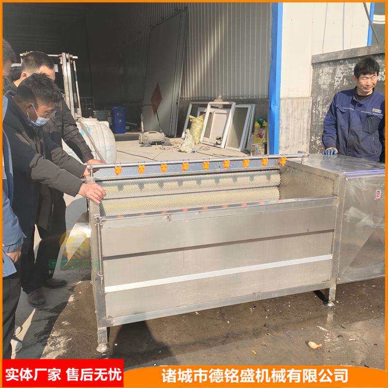 洗青萝卜机器猪头蹄十根毛刷清洗设备果蔬类莲藕去皮清洗机