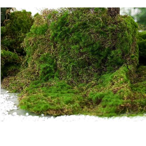 仿真景观苔藓手工室内花草皮仿真工艺品植物草坪批发现货造景青苔