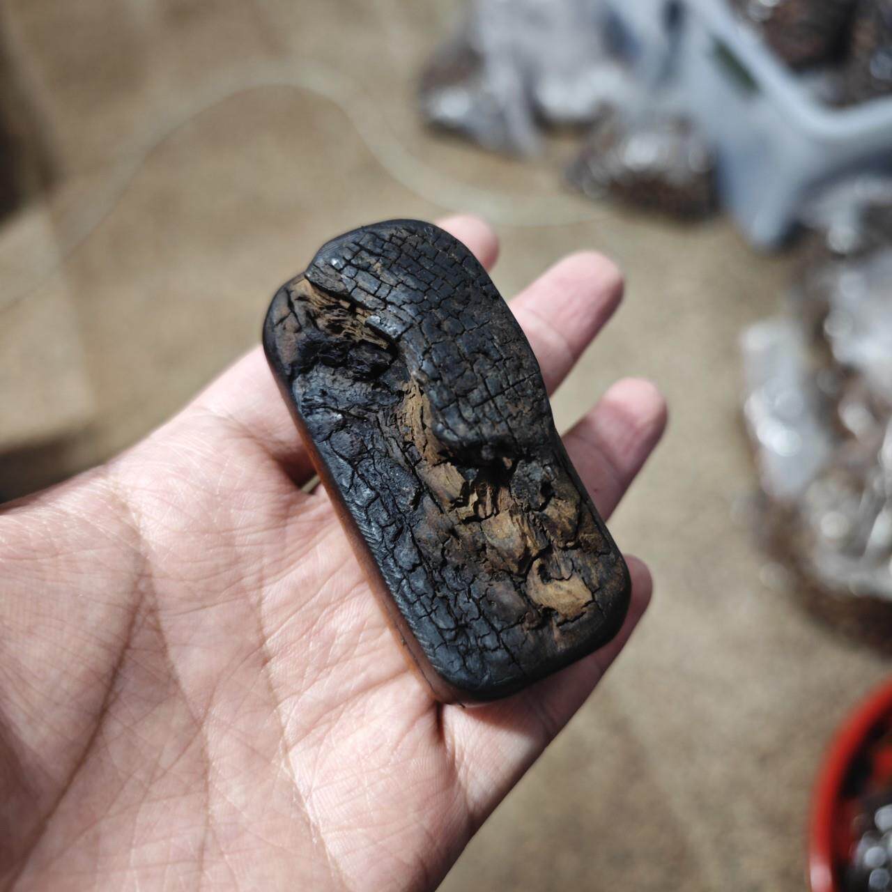 雷击枣木随形手把件随型把玩道家法器平安无事牌6厘量大价格可谈
