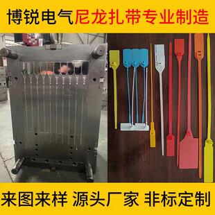 乐清博锐厂家专业生产制造封条扎带模具 尼龙扎带模具 热流道模具