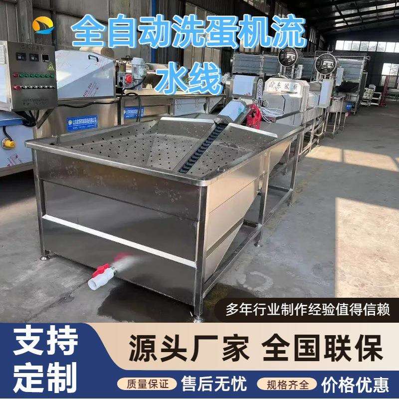 商用多功能全自动洗蛋机大型麻酱蛋清洗机鸡蛋鸭蛋清洗消毒流水线