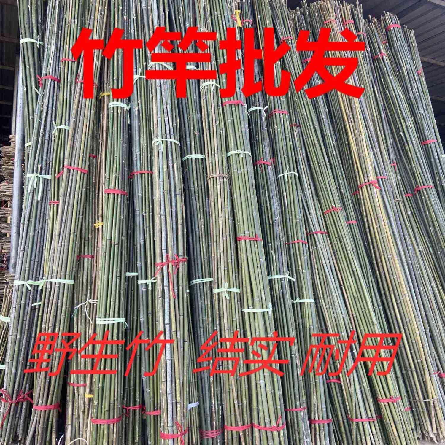 竹竿菜园搭架豆角黄瓜番茄爬藤架园艺篱笆围栏旗杆竹竿瓜果爬藤架