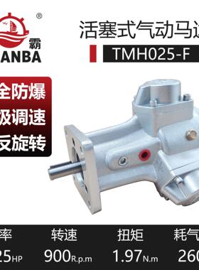 厂家直供瑞安活塞式气动马达TM025-F带法兰可配减速机高扭矩