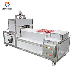 工厂直销全自动QH 桃子去核取芯机水果去核分瓣机 T苹果