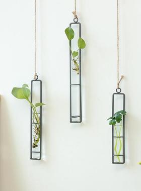 创意悬挂麻绳水培挂件铁艺玻璃花瓶客厅壁挂水培绿萝植物容器壁饰