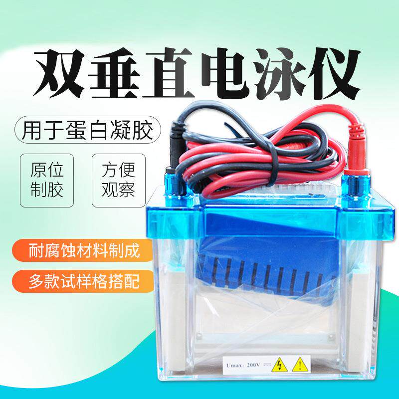 DYCZ-24DN蛋白凝胶迷你双垂直电泳仪实验室专用电泳槽