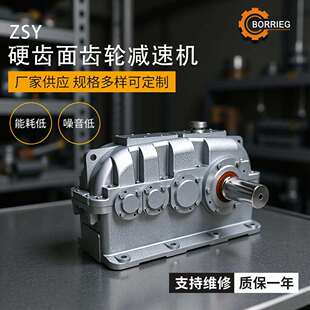 硬齿面齿轮减速机ZSY280YNS620NZS62减速机器减速机