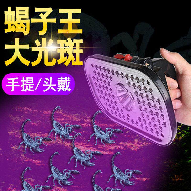 户外头戴式蝎子灯2024新款白紫光灯鉴定专用超亮强光灯验钞猫癣灯