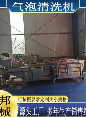 中草多功能气泡清洗机红枣升降式喷淋清洗设备龙门提升洗菜机